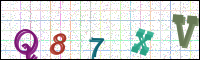 Image Verification