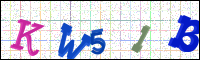 Image Verification