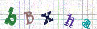 Image Verification