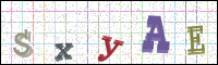 Image Verification