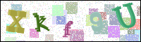 Image Verification