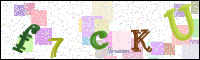 Image Verification