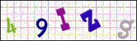 Image Verification