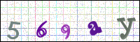 Image Verification