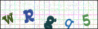 Image Verification