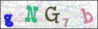 Image Verification